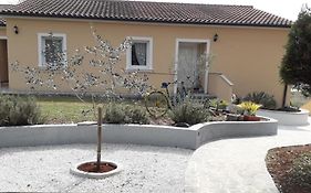 Apartment Andjel