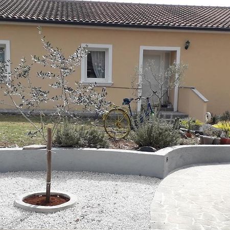 Apartment Andjel Poreč Exterior foto