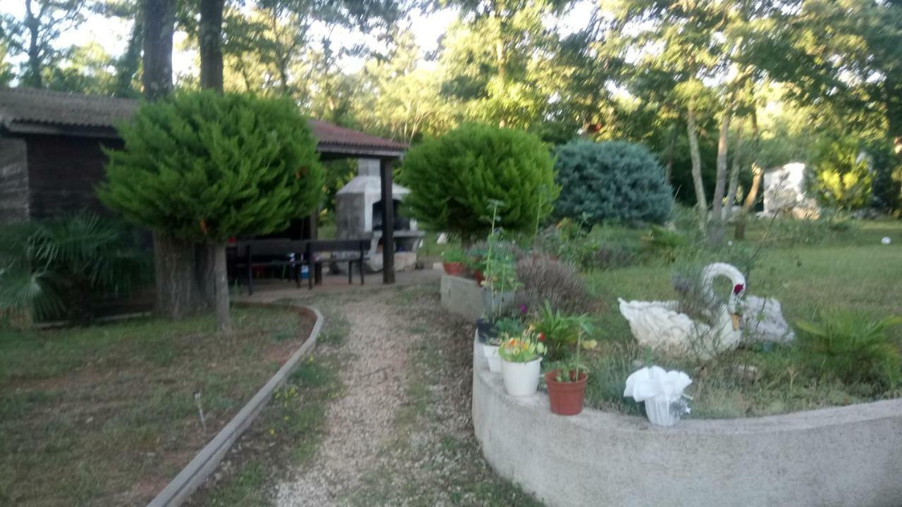 Apartment Andjel Poreč Exterior foto